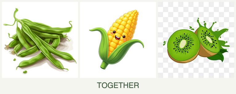 Can you plant beans, corn and kiwi together?