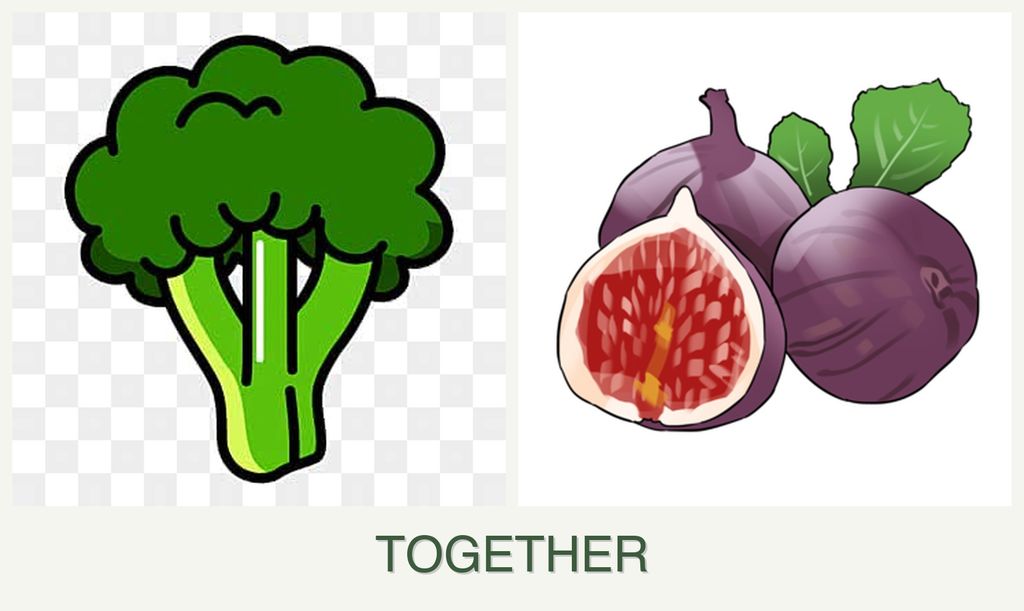 Can you plant broccoli and figs together?