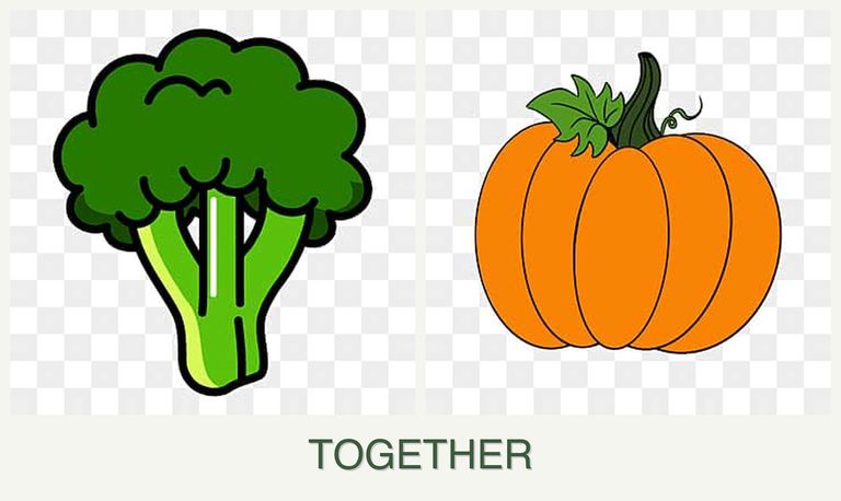 Can you plant broccoli and pumpkin together?