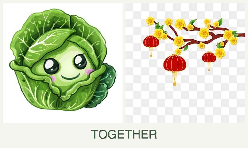 Can you plant cabbage and apricots together?