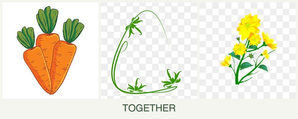 Can you plant carrots, tarragon and calendula together?