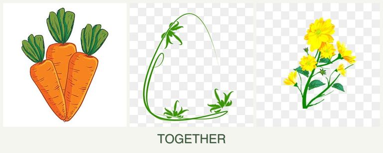 Can you plant carrots, tarragon and calendula together?