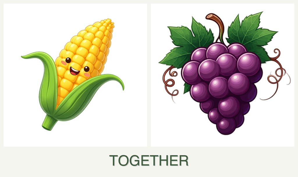 Can you plant corn and grapes together?