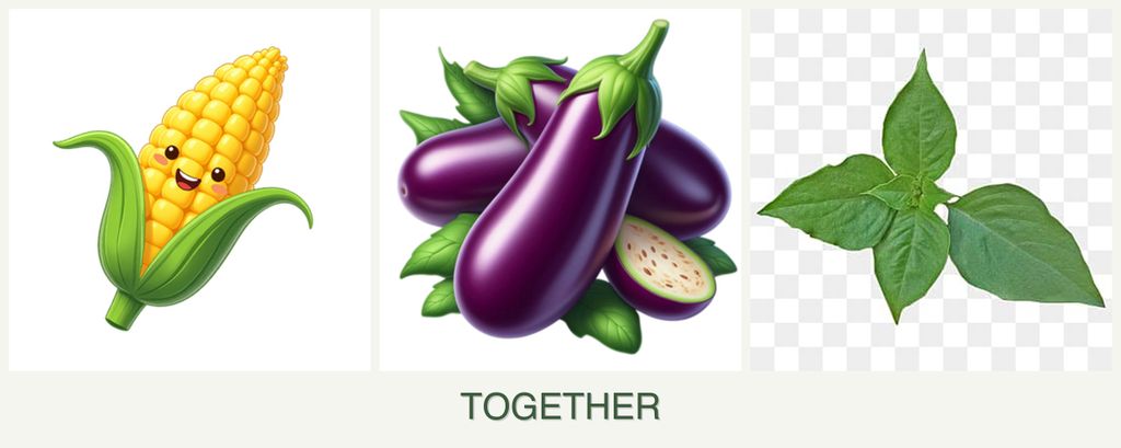 Can you plant corn, eggplant and basil together?