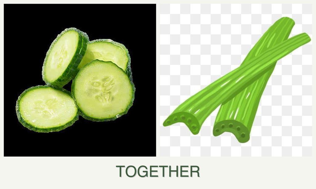 Can you plant cucumbers and celery together?