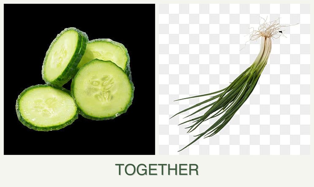 Can you plant cucumbers and chives together?