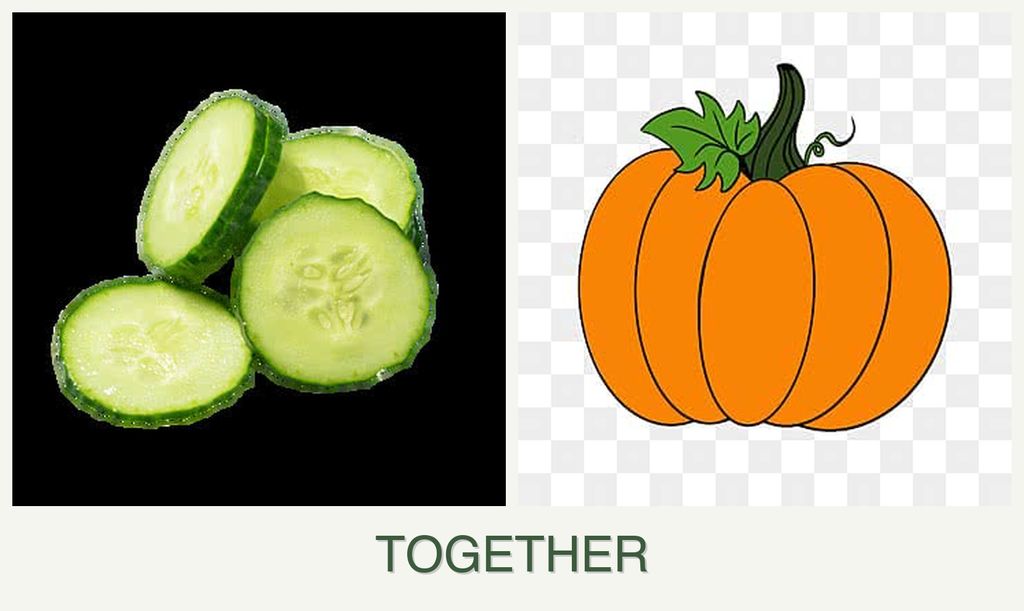 Can you plant cucumbers and pumpkin together?