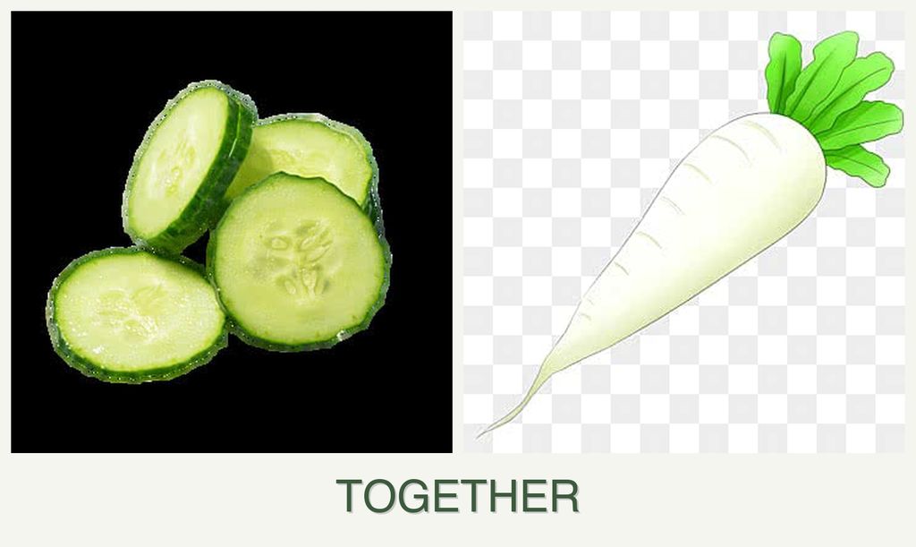 Can you plant cucumbers and radishes together?