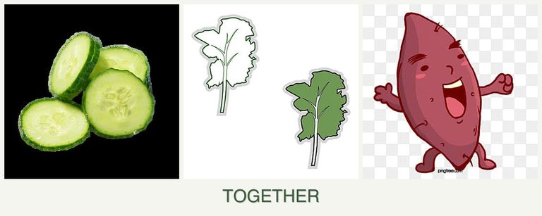 Can you plant cucumbers, kale and sweet potatoes together?