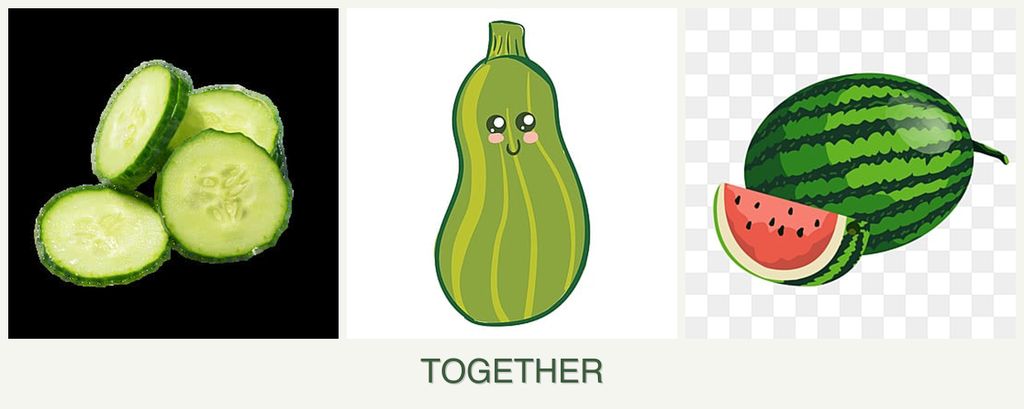 Can you plant cucumbers, zucchini and melons together?