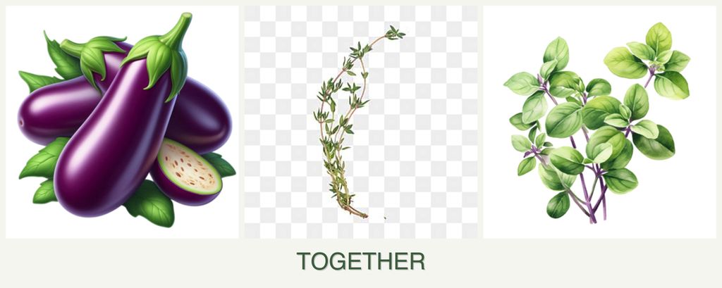 Can you plant eggplant, thyme and oregano together?