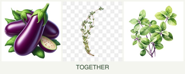 Can you plant eggplant, thyme and oregano together?