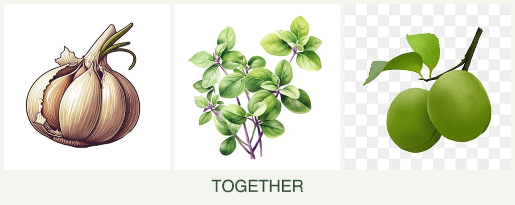 Can you plant garlic, oregano and plums together?