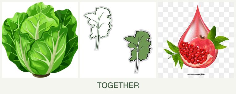 Can you plant lettuce, kale and pomegranates together?
