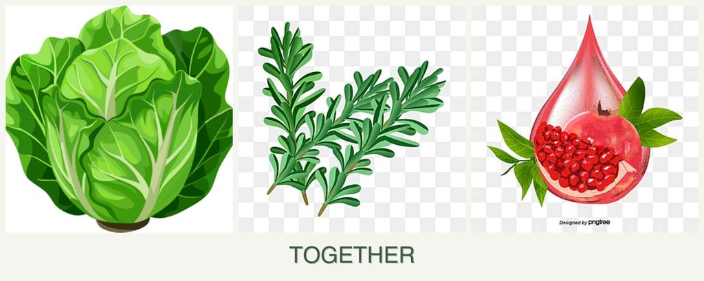 Can you plant lettuce, rosemary and pomegranates together?