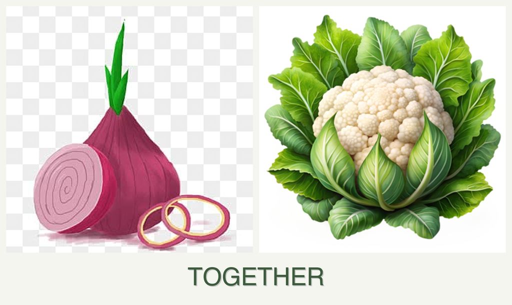 Can you plant onions and cauliflower together?