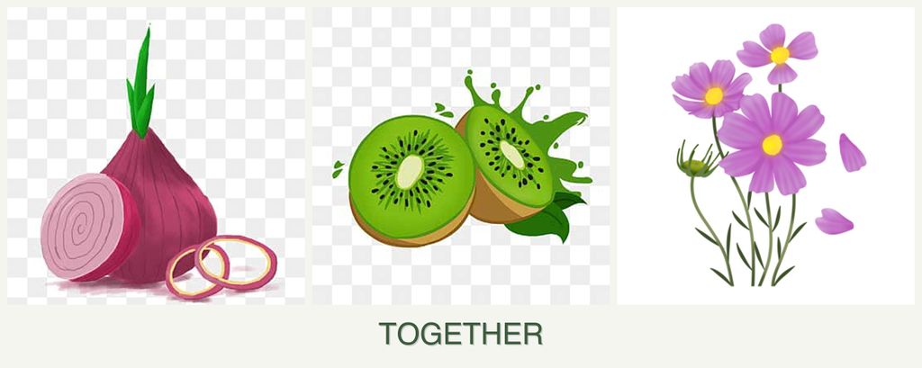 Can you plant onions, kiwi and cosmos together?