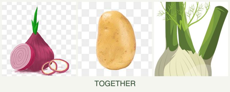 Can you plant onions, potatoes and fennel together?