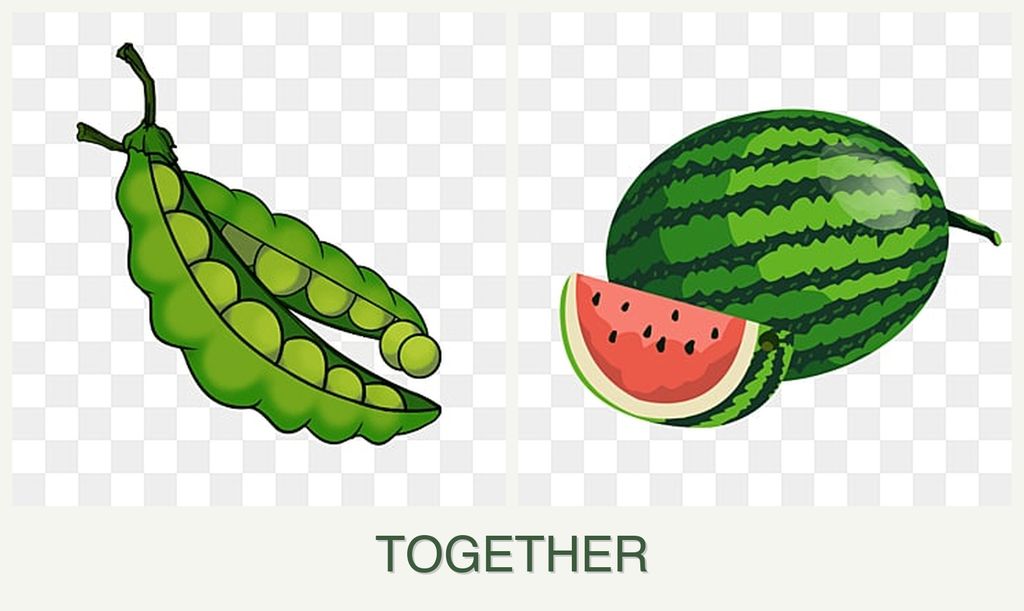 Can you plant peas and melons together?