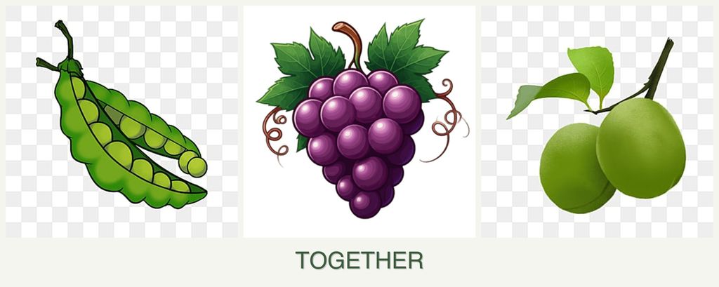 Can you plant peas, grapes and plums together?
