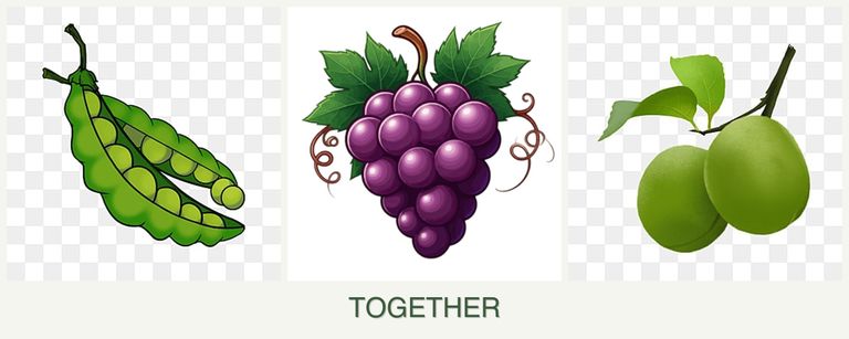 Can you plant peas, grapes and plums together?