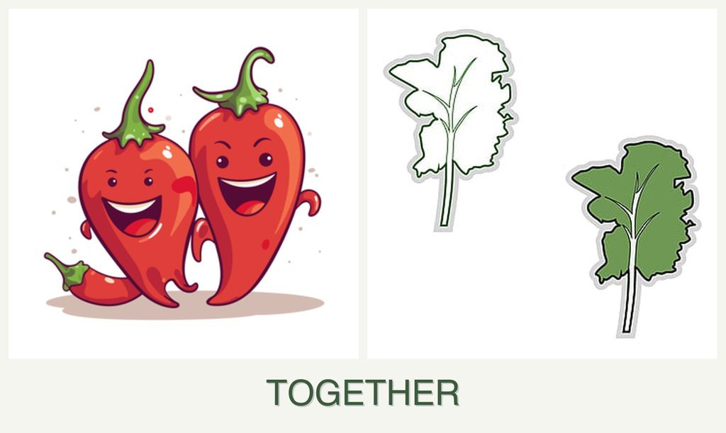 Can you plant peppers and kale together?