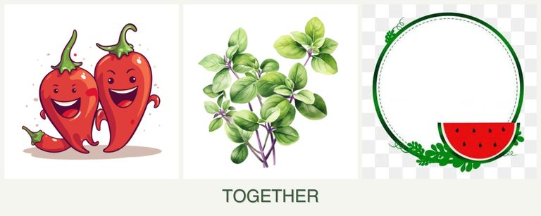 Can you plant peppers, oregano and watermelons together?