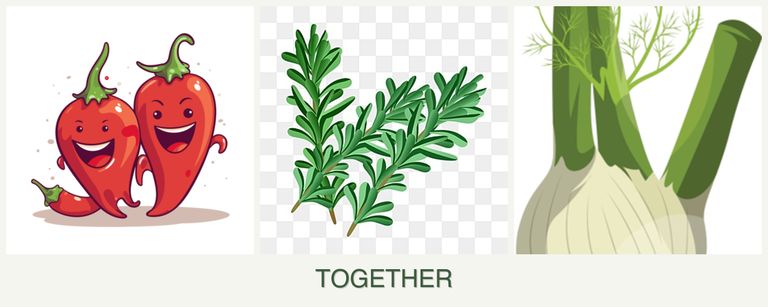 Can you plant peppers, rosemary and fennel together?