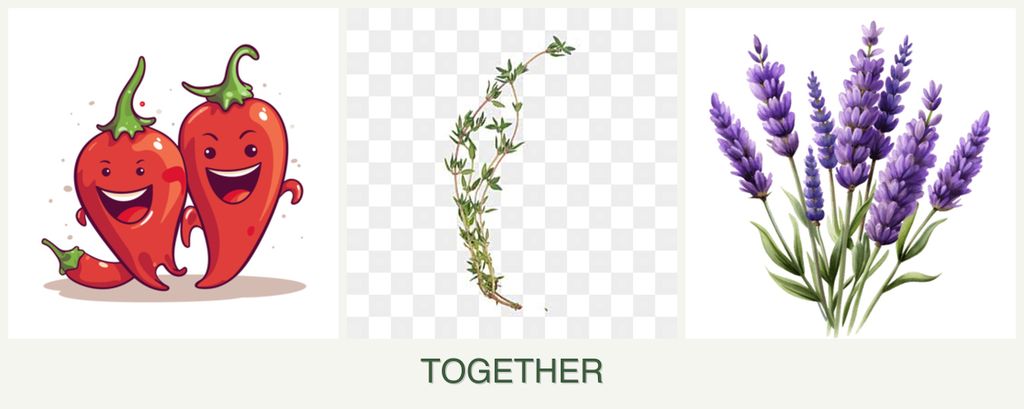 Can you plant peppers, thyme and lavender together?