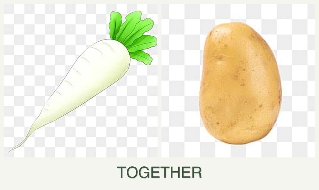 Can you plant radishes and potatoes together?