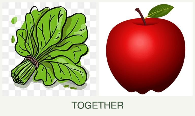 Can you plant spinach and apples together?
