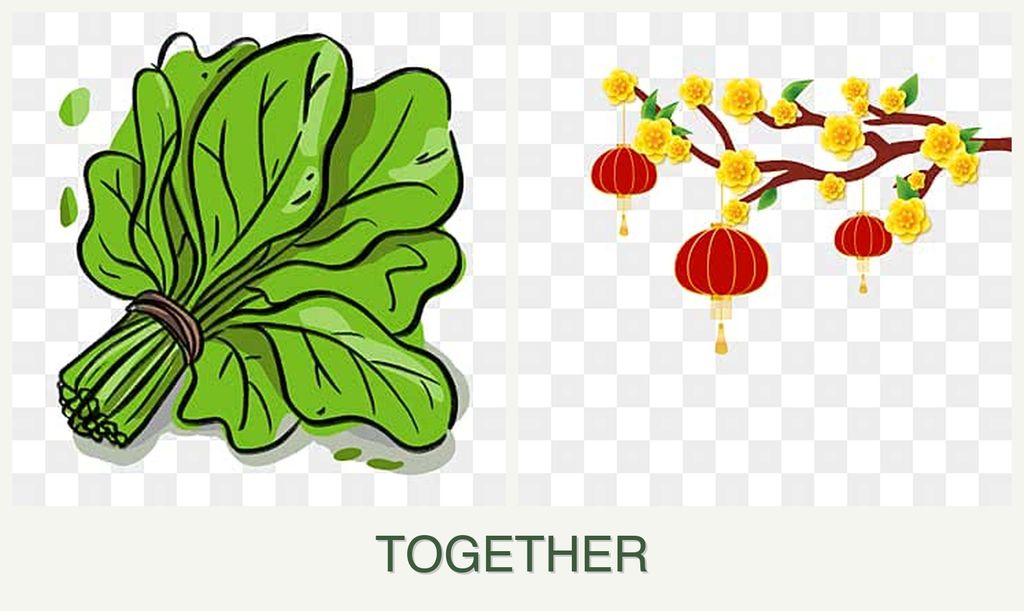Can you plant spinach and apricots together?