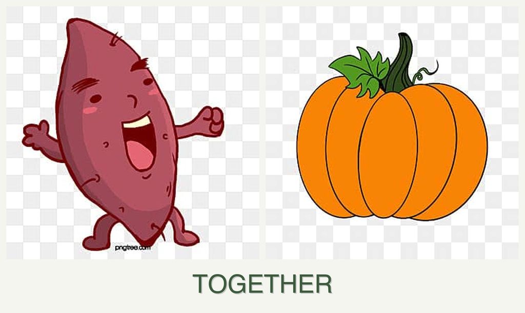 Can you plant sweet potatoes and pumpkin together?