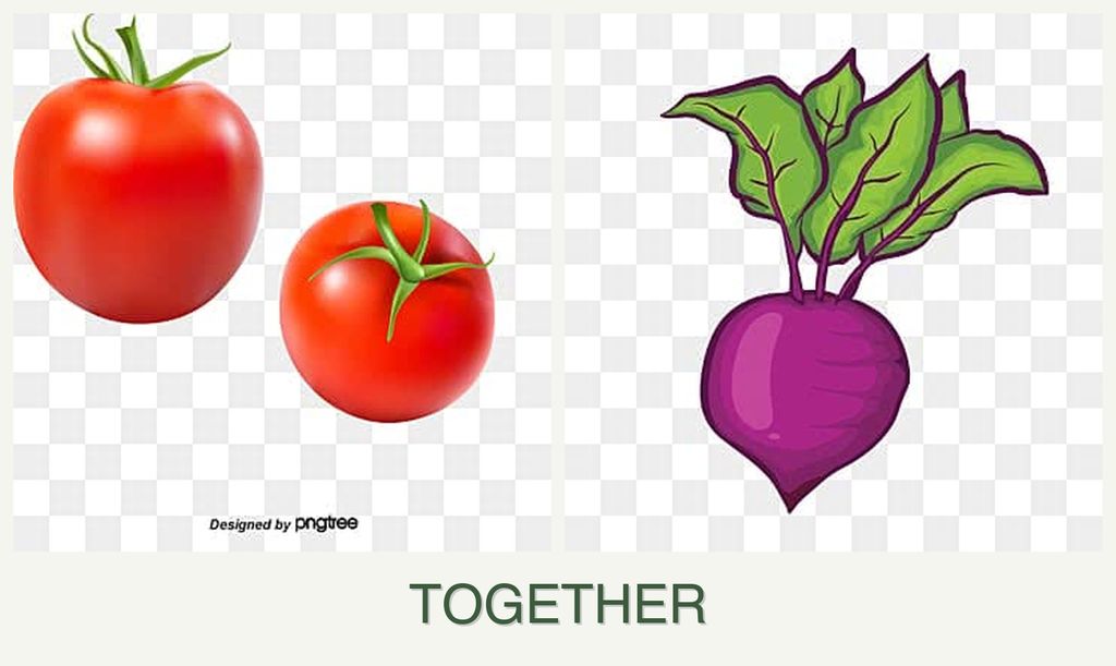 Can you plant tomatoes and beets together?