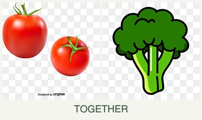 Can you plant tomatoes and broccoli together?
