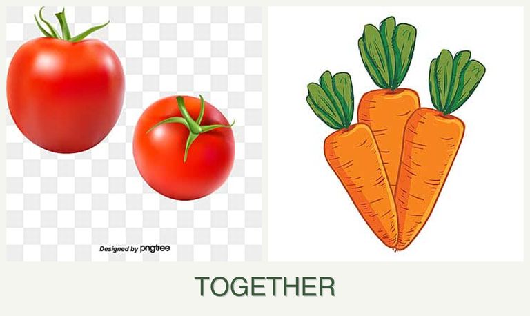 Can you plant tomatoes and carrots together?