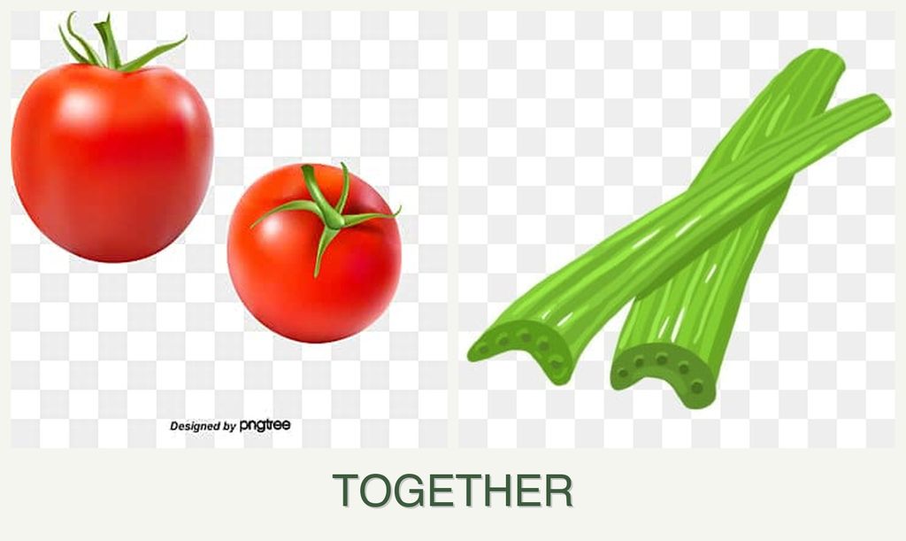 Can you plant tomatoes and celery together?