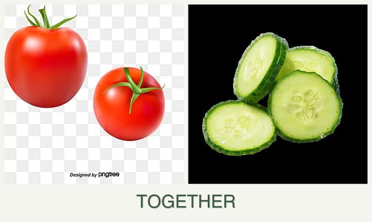 Can you plant tomatoes and cucumbers together?