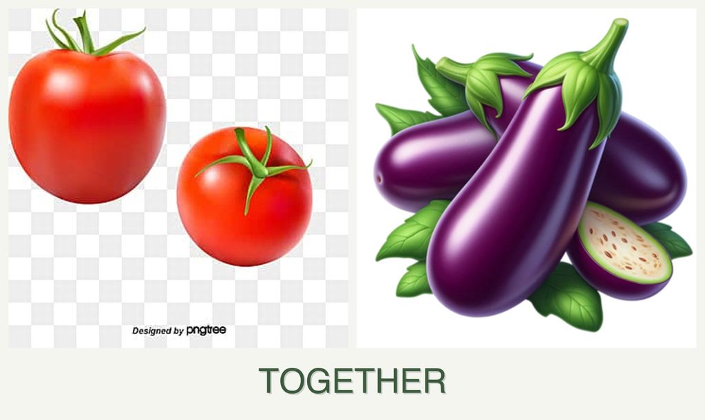 Can you plant tomatoes and eggplant together?