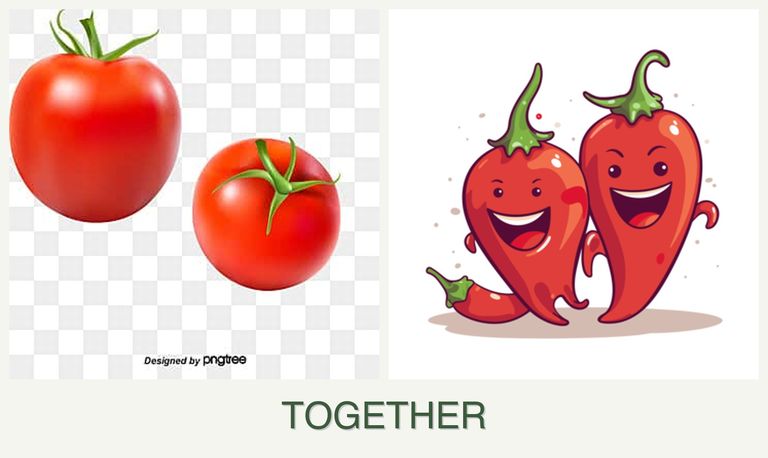 Can you plant tomatoes and peppers together?
