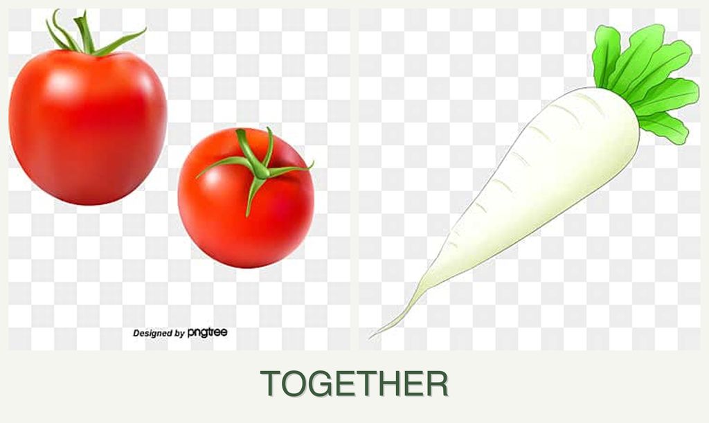Can you plant tomatoes and radishes together?