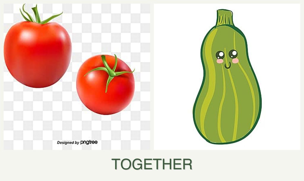 Can you plant tomatoes and zucchini together?