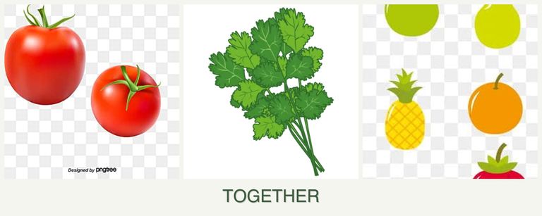 Can you plant tomatoes, cilantro and pears together?