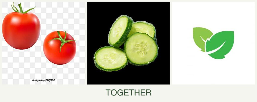Can you plant tomatoes, cucumbers and mint together?