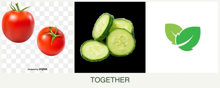 Can you plant tomatoes, cucumbers and mint together?