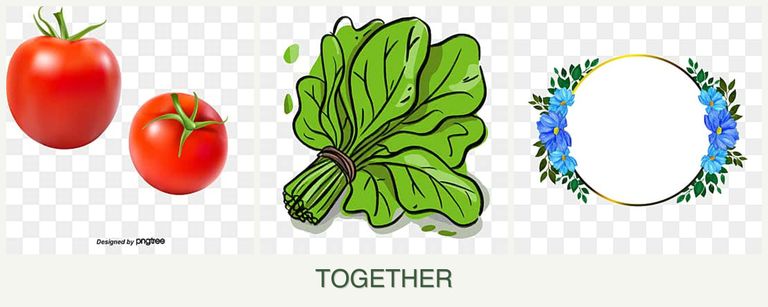 Can you plant tomatoes, spinach and zinnias together?