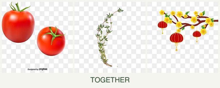 Can you plant tomatoes, thyme and apricots together?