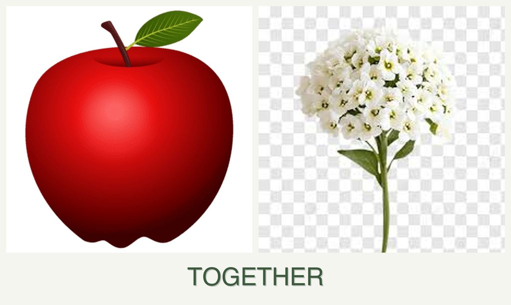 Can you plant apples and alyssum together?