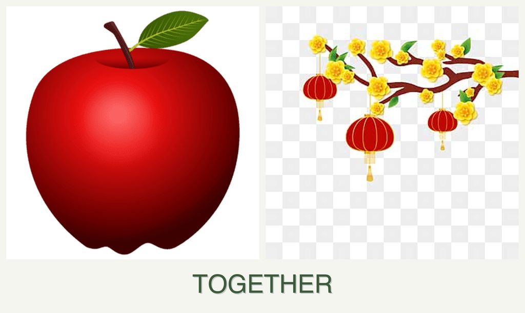 Can you plant apples and apricots together?
