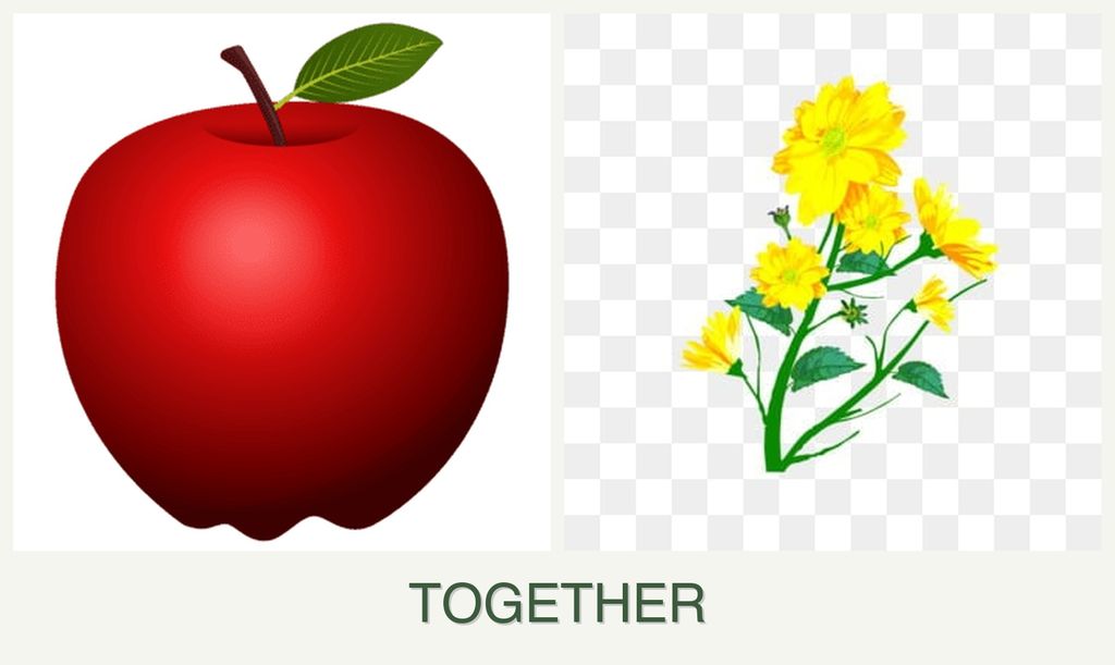 Can you plant apples and calendula together?